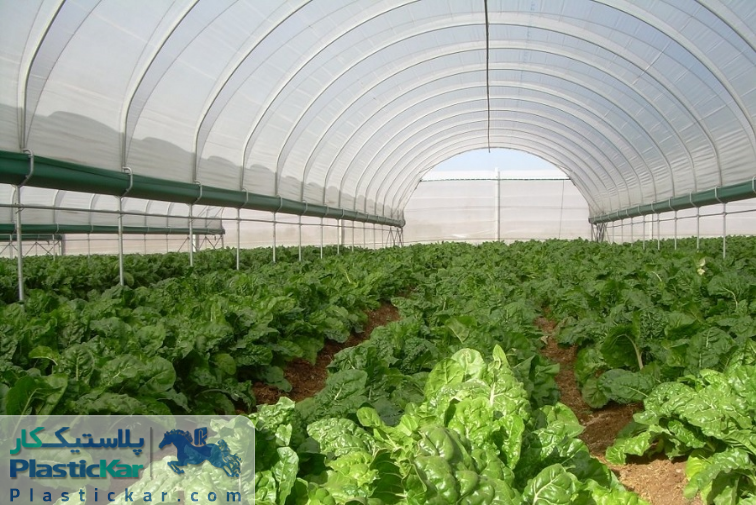 Agricultural plastic is very widely used